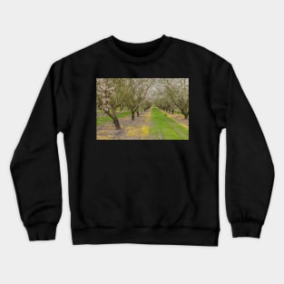 Almond Blossoms Crewneck Sweatshirt